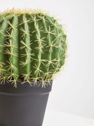 Orsina Fiori Artificial Cactus in Plastic Pot, Desert-Inspired Faux Plant for Windowsill or Tabletop in Green - thumbnail 5