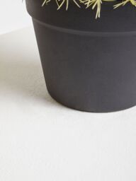 Orsina Fiori Artificial Cactus in Plastic Pot, Desert-Inspired Faux Plant for Windowsill or Tabletop in Green - thumbnail 3