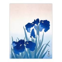 Artery8 Ohara Koson Framed Wall Art Print Blue Iris Flowers Floral Japan - Size: A4 - thumbnail 3
