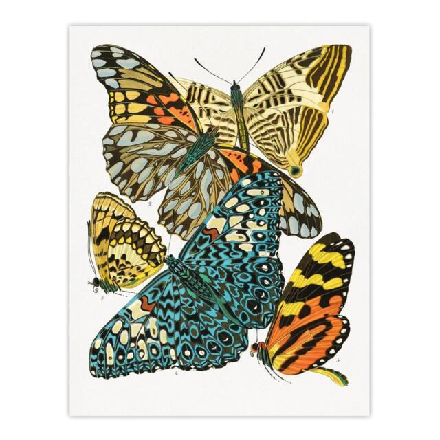 "Artery8 Vintage Butterflies Blue Yellow Vintage Wall Art Print Seguy - Size: W12"" x H16""" - image 1