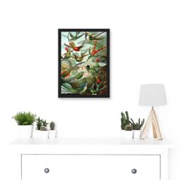 Artery8 Ernst Haeckel Nature Art Biology Birds Hummingbird Vintage A4 Artwork Framed Wall Art Print in Black - thumbnail 2