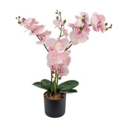 Kelvenix 60cm Artificial Plant Fake Silk Orchid Flower in Pink - Size: 0.6m2 - thumbnail 1