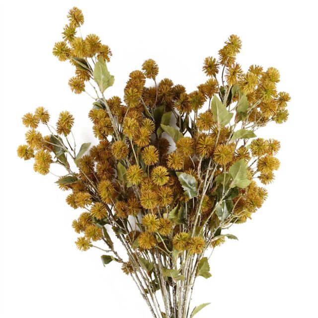 Leaf Pack of 6 x 85cm Craspedia Stem Yellow Artificial - Size: 6 x 85 cm - image 1