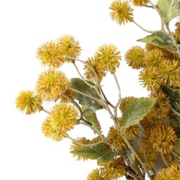 Leaf Pack of 6 x 85cm Craspedia Stem Yellow Artificial - Size: 6 x 85 cm - thumbnail 7