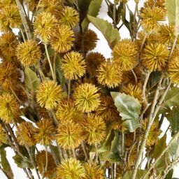 Leaf Pack of 6 x 85cm Craspedia Stem Yellow Artificial - Size: 6 x 85 cm - thumbnail 3