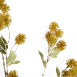 Leaf Pack of 6 x 85cm Craspedia Stem Yellow Artificial - Size: 6 x 85 cm - thumbnail 8