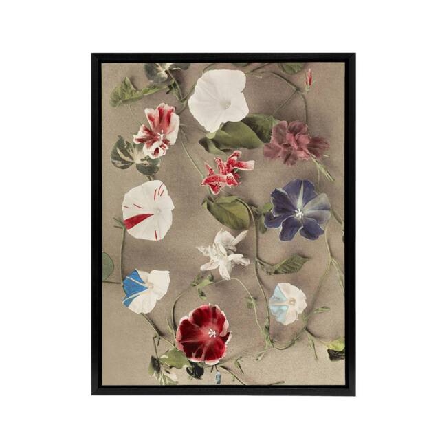 "Artery8 Group Of Morning Glories Framed Canvas Wall Art Print Ogawa Kazumasa - Size: W12"" x H16""" - image 1