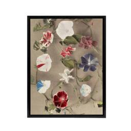 "Artery8 Group Of Morning Glories Framed Canvas Wall Art Print Ogawa Kazumasa - Size: W12"" x H16""" - thumbnail 1