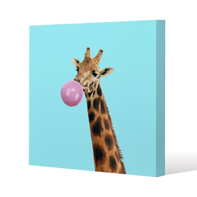 Benjamin Tate Design bubble gum on color background (Canvas Print) / 46 x 46 x 4cm in Natural - Size: 46 x 46 x 4 cm - image 1