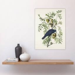 "Artery8 American Crow on Walnut Tree Audubon Nature Wall Art Print Poster in White - Size: W18"" x H24""" - thumbnail 4