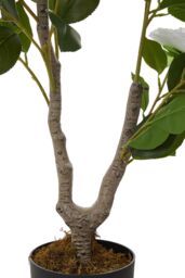 Garden Sanctuary 90cm Garden Artificial White Camellia Tree Potted for Home Decor - thumbnail 5