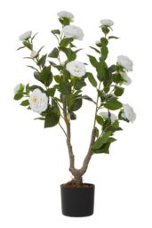 Garden Sanctuary 90cm Garden Artificial White Camellia Tree Potted for Home Decor - thumbnail 1