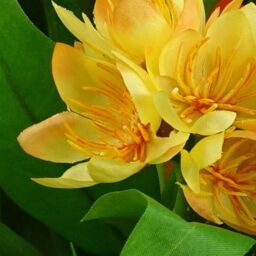 Leaf 18cm Artificial Freesia Plant Yellow Flowering - thumbnail 2