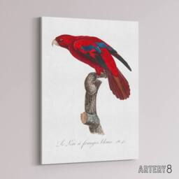 "Artery8 The Blue Fringed Red Lori Parrot Levaillant Canvas Wall Art Print in White - Size: W12"" x H16""" - thumbnail 2