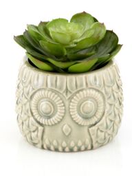 Orsina Fiori Large Succulent in Grey Ceramic Owl Pot - thumbnail 2