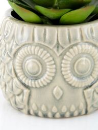 Orsina Fiori Large Succulent in Grey Ceramic Owl Pot - thumbnail 3