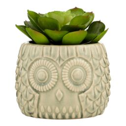 Orsina Fiori Large Succulent in Grey Ceramic Owl Pot - thumbnail 1