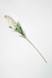 Homescapes Artificial Stem of Delphinium Flowers, 82 cm in Natural - thumbnail 1