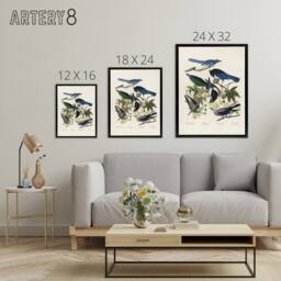 "Artery8 Magpie Clarks Crow & Jays Audubon Nature Black Framed Canvas Art in White - Size: W18"" x H24""" - thumbnail 4