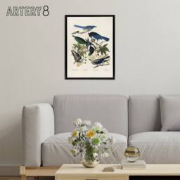 "Artery8 Magpie Clarks Crow & Jays Audubon Nature Black Framed Canvas Art in White - Size: W18"" x H24""" - thumbnail 3