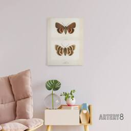 "Artery8 Darling Underwing Moth Illustration Denton Canvas Wall Art Print in White - Size: W24"" x H32""" - thumbnail 3
