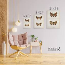 "Artery8 Darling Underwing Moth Illustration Denton Canvas Wall Art Print in White - Size: W24"" x H32""" - thumbnail 4