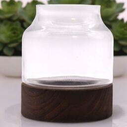 KDMD Medium Shaped Terarium on Dark Tung Wood in Brown