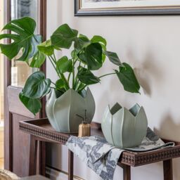 Royal Botanic Gardens Kew Kew Flower Planter Pistachio Green H24cm D24cm - Ceramic - On Trend Design - Premium Quality in Light Green - thumbnail 1