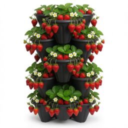 simpa Stackable Tri-Pot Plastic Strawberry Planters 6PC in Black - thumbnail 2