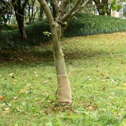 Berkfield Home Jute Roll 0.25x10 m 100% Jute 200 gsm in Tan - thumbnail 1