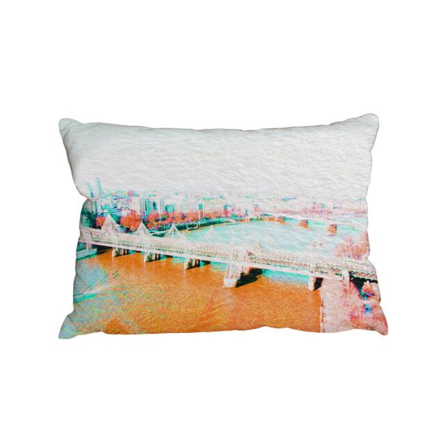 Benjamin Tate Design Cushions - LONDON EYE VEIW Orange (Cushion)