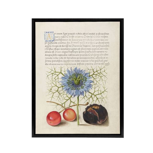 "Artery8 Love in a Mist & Cherries Calligraphy Framed Canvas Wall Art Print in White - Size: W18"" x H24""" - image 1