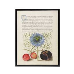 "Artery8 Love in a Mist & Cherries Calligraphy Framed Canvas Wall Art Print in White - Size: W18"" x H24""" - thumbnail 1