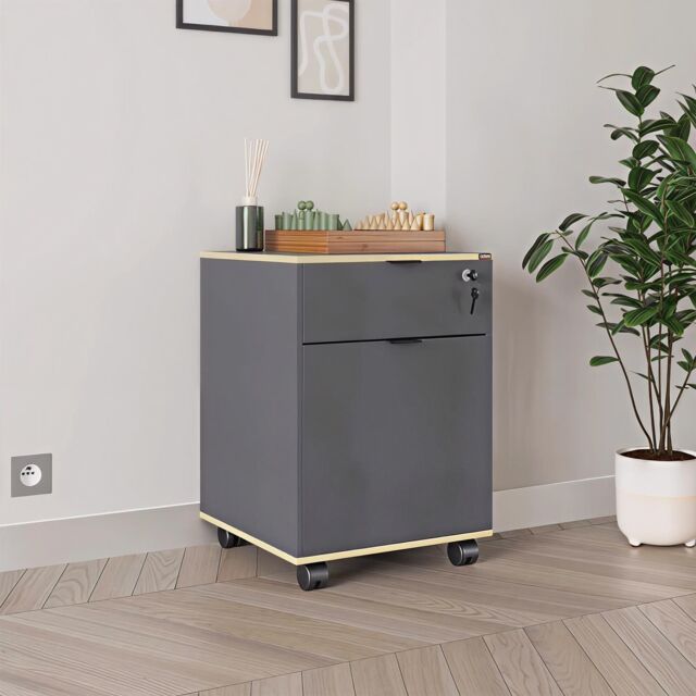 FWStyle 1 Door 1 Drawer Lockable Mobile Office Storage Cabinet - Anthracite Grey - image 1