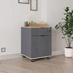 FWStyle 1 Door 1 Drawer Lockable Mobile Office Storage Cabinet - Anthracite Grey - thumbnail 1