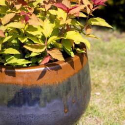 Primrose Terracotta Tall Round Honey Pot Style Planter In Grey & Blue 42cm in Dark Blue - thumbnail 3