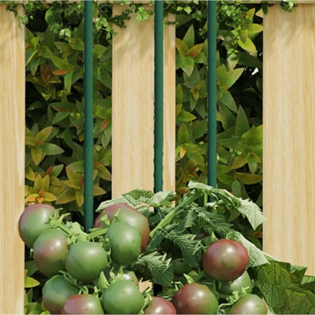 Berkfield Home Garden Plant Stakes 30 pcs Green 60 cm Steel - image 1