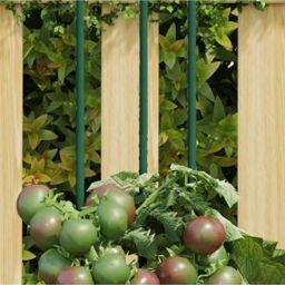 Berkfield Home Garden Plant Stakes 30 pcs Green 60 cm Steel