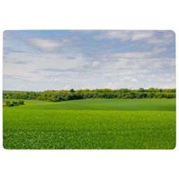 Benjamin Tate Design Summer Landscape With Hilly Green Field & Forest In The Distance Designer Rug in Natural - Size: Large - thumbnail 1