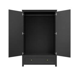 Lemon Pavilion Furniture Ives 2 Door Wardrobe - L55 x W118 x H191 cm - Black/Antique Brass in Black - Size: 1 Pack - thumbnail 3