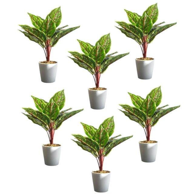Leaf Potted Artificial Plant Realistic Calathea Veitchiane 38cm Pack of 6 in Green - image 1