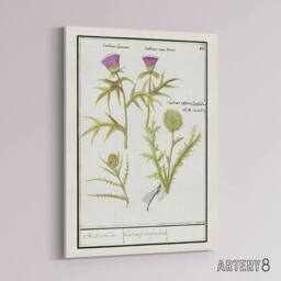 "Artery8 Thistle & Artichoke Flowers de Boodt Canvas Wall Art Print in White - Size: W12"" x H16""" - thumbnail 2