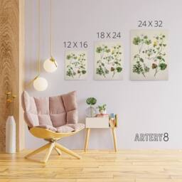 "Artery8 Vintage New Zealand Wildflower Artwork Featon Canvas Wall Art Print in Beige - Size: W12"" x H16""" - thumbnail 4