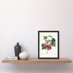 Artery8 Pierre J Redoute Framed Wall Art Redcurrant Berries & Butterfly in White - Size: A4 - thumbnail 2