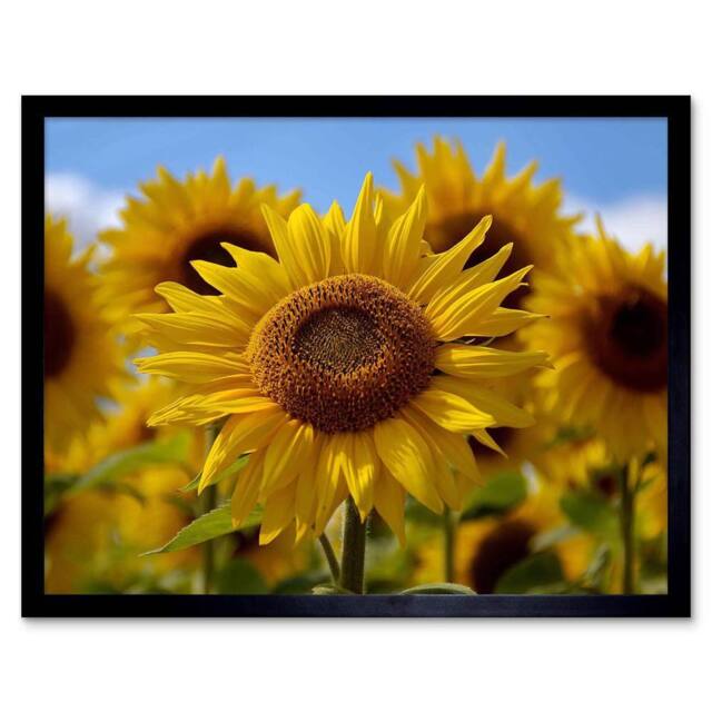 "Artery8 Composition Flower Sunflower Yellow Petal Macro Framed Wall Art Print - Size: W12"" x H16""" - image 1