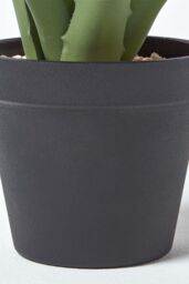 Homescapes Aloe Vera Artificial Succulent in Black Pot, 30 cm Tall in Green - thumbnail 4