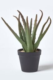 Homescapes Aloe Vera Artificial Succulent in Black Pot, 30 cm Tall in Green - thumbnail 6