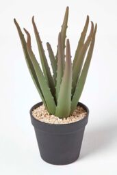 Homescapes Aloe Vera Artificial Succulent in Black Pot, 30 cm Tall in Green