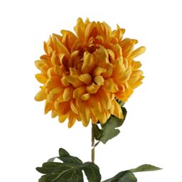 Leaf Pack of 6 x 75cm Extra Large Reflex Chrysanthemum - Gold in Yellow - Size: 6 x 75 cm - thumbnail 4