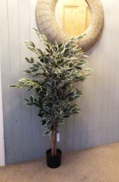 Leaf Artificial Ficus Tree Plant White Edge Bushy 130cm Realistic House Plants Botanik in Green - thumbnail 2
